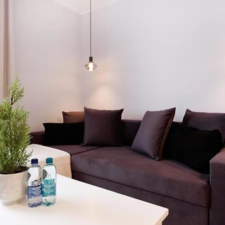 Apartment A Cozy Studio Kaunas